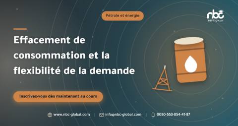Effacement de consommation et la flexibilité de la demande