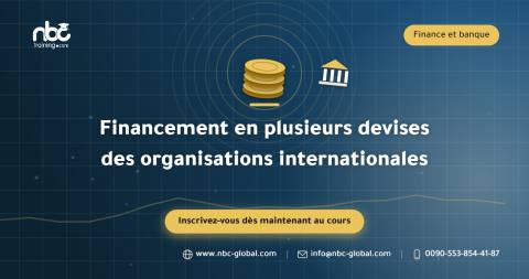 Financement en plusieurs devises des organisations internationales