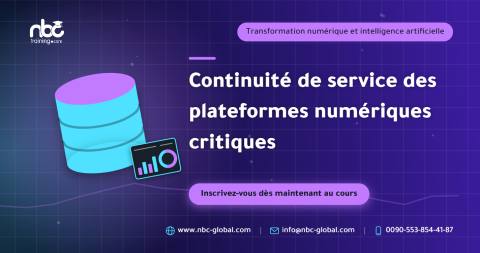 Continuité de service des plateformes numériques critiques