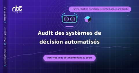 Audit des systèmes de décision automatisés