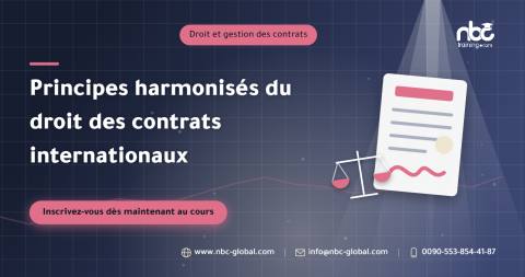 Principes harmonisés du droit des contrats internationaux