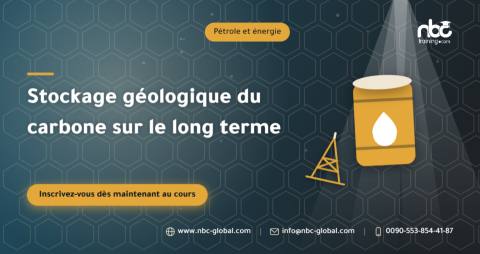 Stockage géologique du carbone sur le long terme