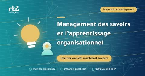 Management des savoirs et l’apprentissage organisationnel