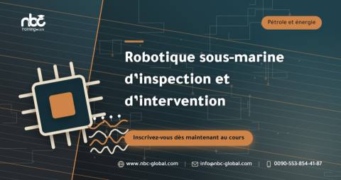 Robotique sous-marine d’inspection et d’intervention