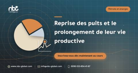 Reprise des puits et le prolongement de leur vie productive