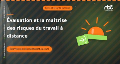 Évaluation et la maîtrise des risques du travail à distance