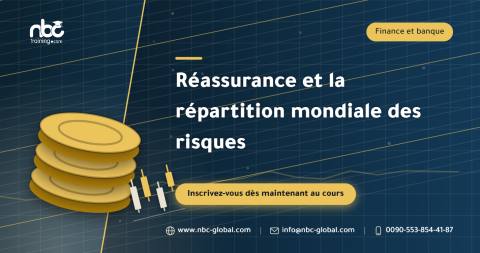 Réassurance et la répartition mondiale des risques