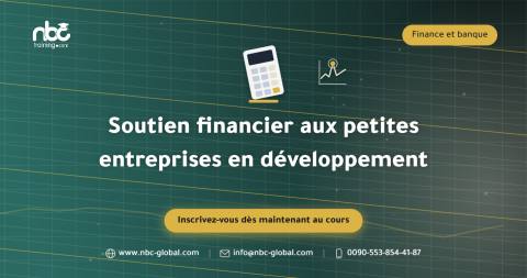 Soutien financier aux petites entreprises en développement