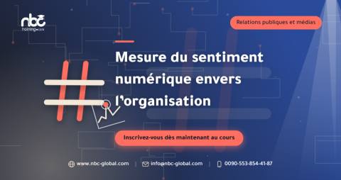 Mesure du sentiment numérique envers l’organisation
