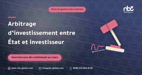 Arbitrage d’investissement entre État et investisseur