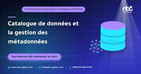 Catalogue de données et la gestion des métadonnées
