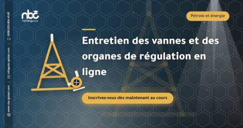 Entretien des vannes et des organes de régulation en ligne