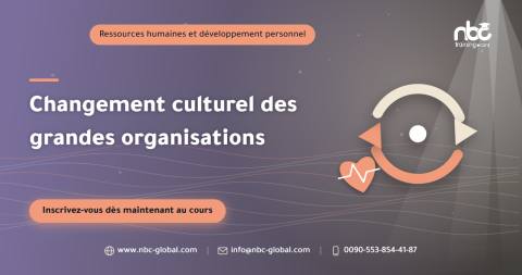 Changement culturel des grandes organisations