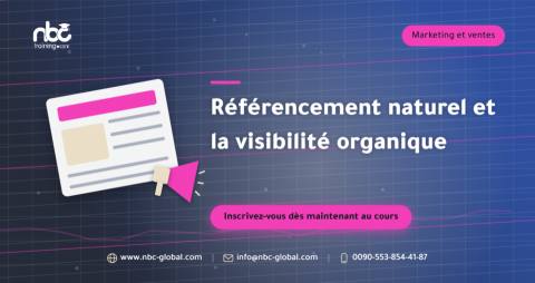Référencement naturel et la visibilité organique