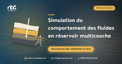 Simulation du comportement des fluides en réservoir multicouche
