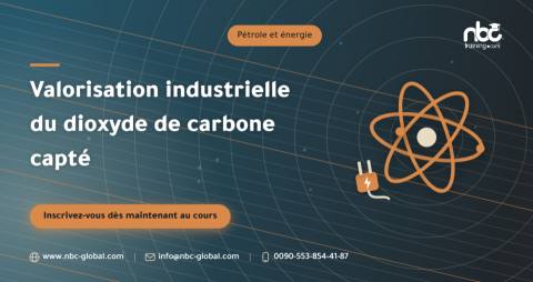 Valorisation industrielle du dioxyde de carbone capté
