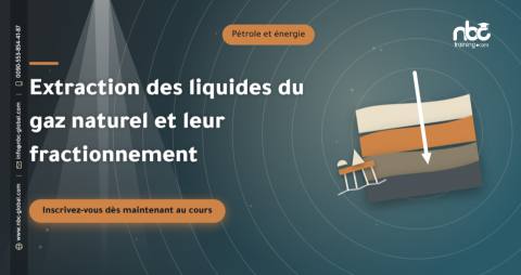 Extraction des liquides du gaz naturel et leur fractionnement