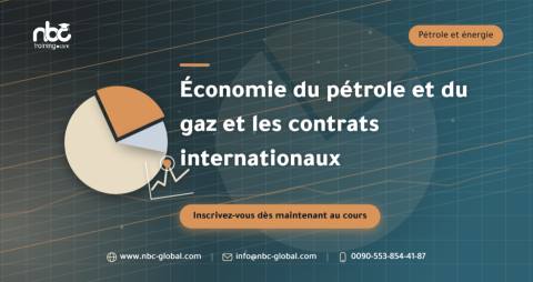 Économie du pétrole et du gaz et les contrats internationaux