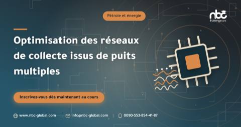 Optimisation des réseaux de collecte issus de puits multiples