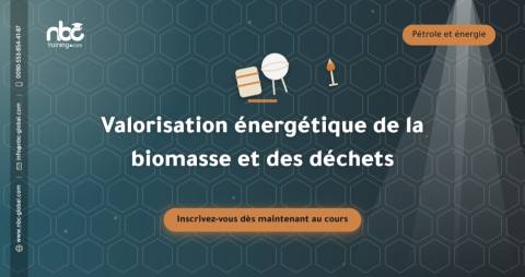 Valorisation énergétique de la biomasse et des déchets
