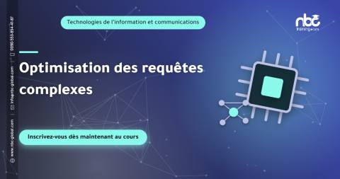Optimisation des requêtes complexes