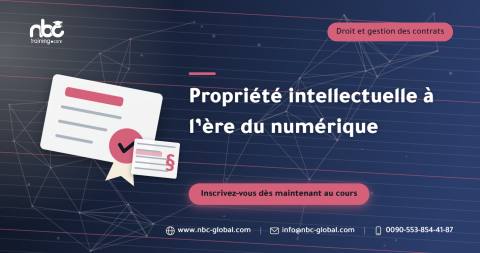 Propriété intellectuelle à l’ère du numérique