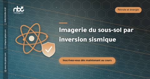 Imagerie du sous-sol par inversion sismique