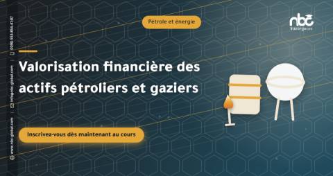 Valorisation financière des actifs pétroliers et gaziers