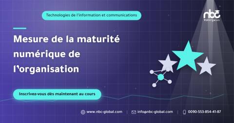 Mesure de la maturité numérique de l’organisation