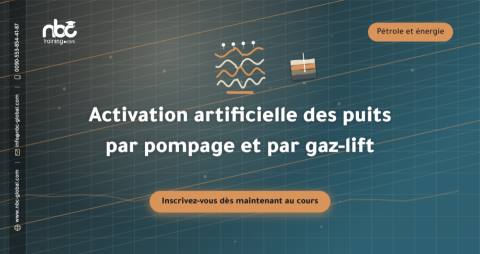 Activation artificielle des puits par pompage et par gaz-lift