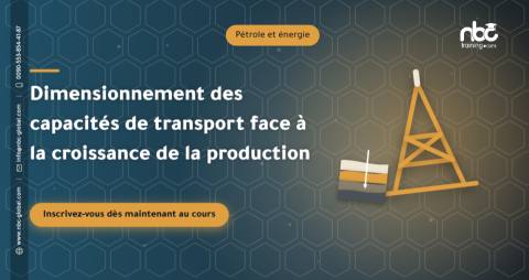 Dimensionnement des capacités de transport face à la croissance de la production