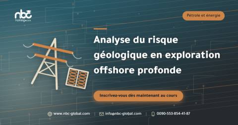Analyse du risque géologique en exploration offshore profonde