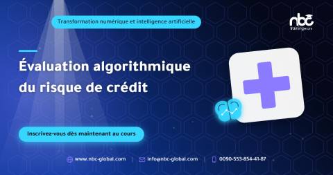 Évaluation algorithmique du risque de crédit