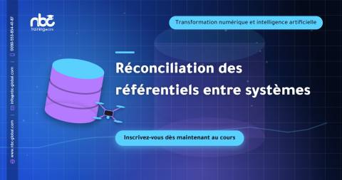 Réconciliation des référentiels entre systèmes