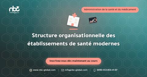 Structure organisationnelle des établissements de santé modernes