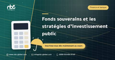Fonds souverains et les stratégies d’investissement public