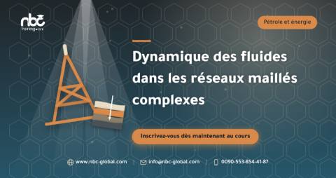 Dynamique des fluides dans les réseaux maillés complexes