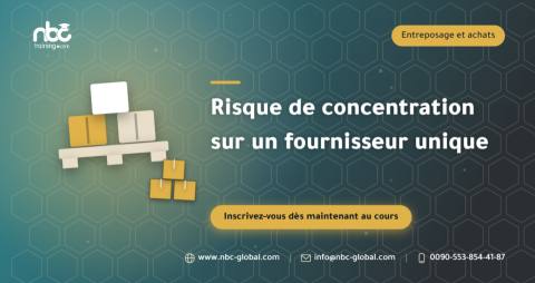 Risque de concentration sur un fournisseur unique