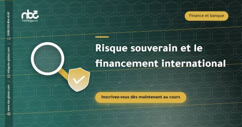 Risque souverain et le financement international
