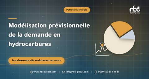 Modélisation prévisionnelle de la demande en hydrocarbures