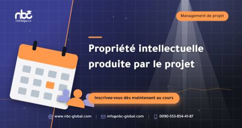 Propriété intellectuelle produite par le projet