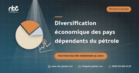 Diversification économique des pays dépendants du pétrole