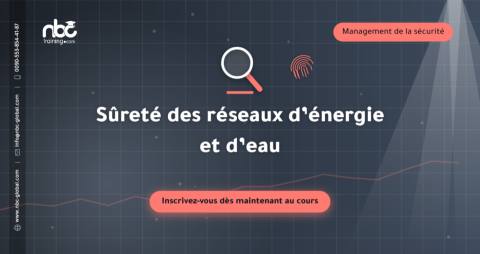 Sûreté des réseaux d’énergie et d’eau