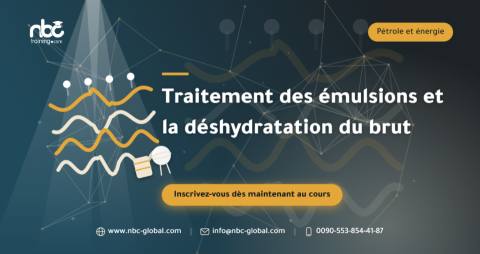 Traitement des émulsions et la déshydratation du brut
