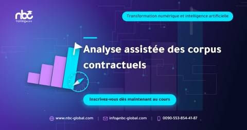 Analyse assistée des corpus contractuels