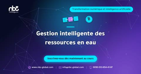 Gestion intelligente des ressources en eau
