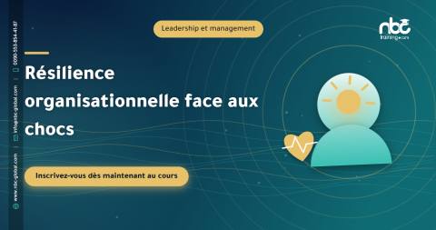 Résilience organisationnelle face aux chocs