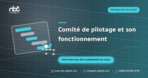 Comité de pilotage et son fonctionnement