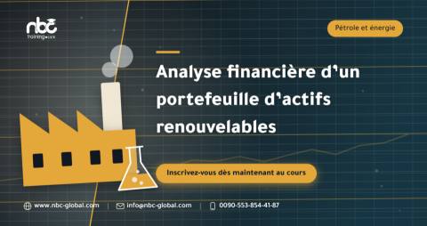 Analyse financière d’un portefeuille d’actifs renouvelables