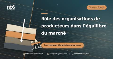 Rôle des organisations de producteurs dans l’équilibre du marché